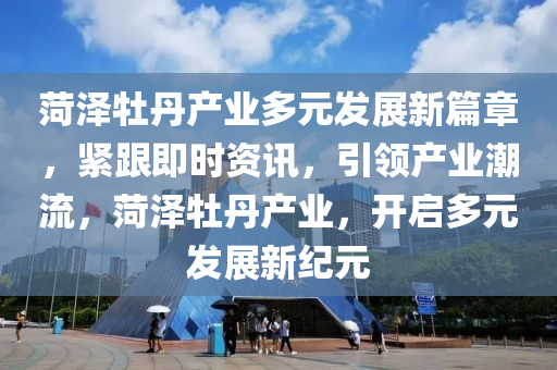 菏澤牡丹產業(yè)多元發(fā)展新篇章，緊跟即時資訊，引領產業(yè)潮流，菏澤牡丹產業(yè)，開啟多元發(fā)展新紀元