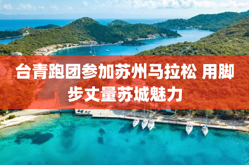 臺青跑團(tuán)參加蘇州馬拉松 用腳步丈量蘇城魅力