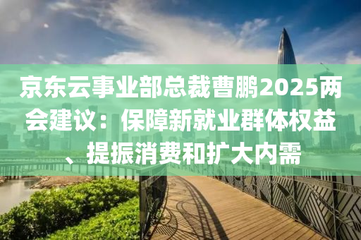 京東云事業(yè)部總裁曹鵬2025兩會建議：保障新就業(yè)群體權(quán)益、提振消費(fèi)和擴(kuò)大內(nèi)需