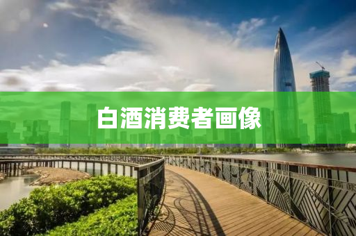 白酒消費(fèi)者畫像