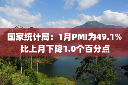 國(guó)家統(tǒng)計(jì)局：1月PMI為49.1% 比上月下降1.0個(gè)百分點(diǎn)