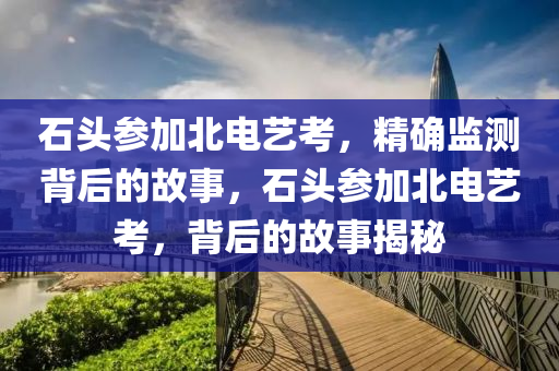 石頭參加北電藝考，精確監(jiān)測背后的故事，石頭參加北電藝考，背后的故事揭秘