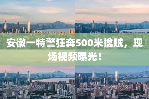 安徽一特警狂奔500米擒賊，現(xiàn)場視頻曝光！
