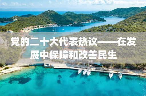 黨的二十大代表熱議——在發(fā)展中保障和改善民生