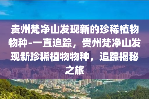 貴州梵凈山發(fā)現(xiàn)新的珍稀植物物種-一直追蹤，貴州梵凈山發(fā)現(xiàn)新珍稀植物物種，追蹤揭秘之旅