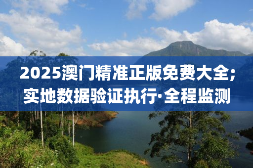 2025澳門精準(zhǔn)正版免費(fèi)大全;實(shí)地?cái)?shù)據(jù)驗(yàn)證執(zhí)行·全程監(jiān)測