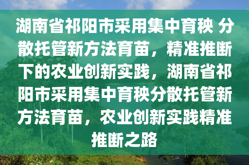 湖南省祁陽市采用集中育秧 分散托管新方法育苗，精準推斷下的農(nóng)業(yè)創(chuàng)新實踐，湖南省祁陽市采用集中育秧分散托管新方法育苗，農(nóng)業(yè)創(chuàng)新實踐精準推斷之路