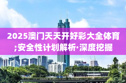 2025澳門天天開好彩大全體育;安全性計劃解析·深度挖掘