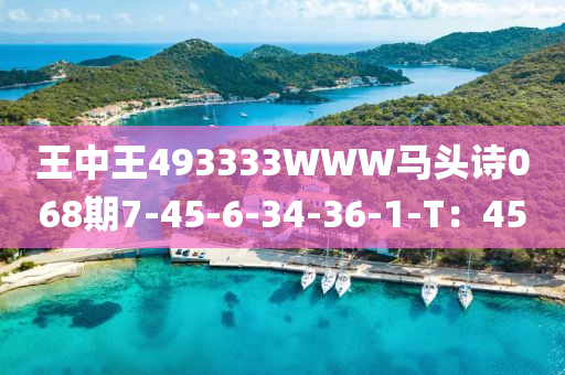 王中王493333WWW馬頭詩068期7-45-6-34-36-1-T：45