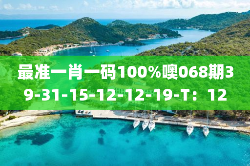 最準(zhǔn)一肖一碼100%噢068期39-31-15-12-12-19-T：12