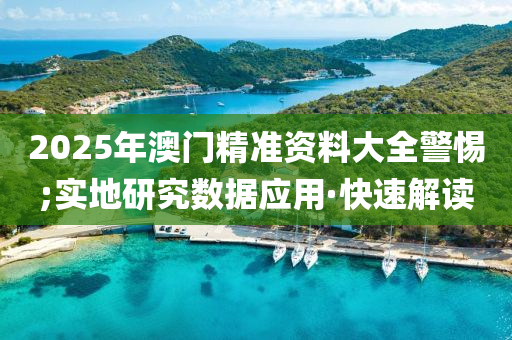 2025年澳門精準(zhǔn)資料大全警惕;實(shí)地研究數(shù)據(jù)應(yīng)用·快速解讀
