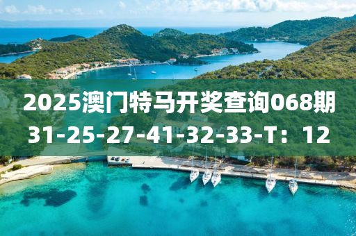 2025澳門特馬開獎(jiǎng)查詢068期31-25-27-41-32-33-T：12