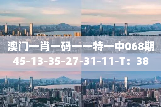澳門(mén)一肖一碼一一特一中068期45-13-35-27-31-11-T：38