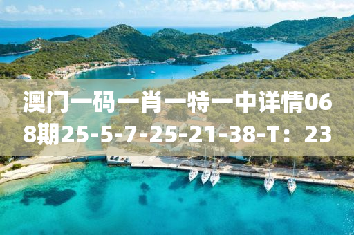 澳門一碼一肖一特一中詳情068期25-5-7-25-21-38-T：23