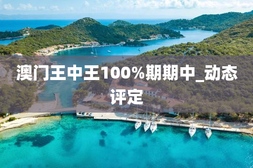 澳門王中王100%期期中_動態(tài)評定