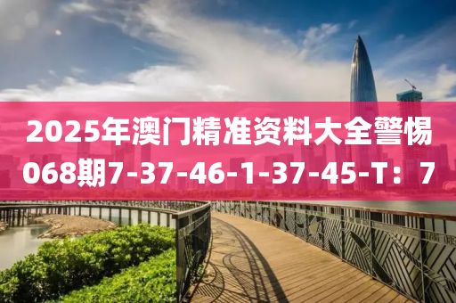 2025年澳門精準資料大全警惕068期7-37-46-1-37-45-T：7