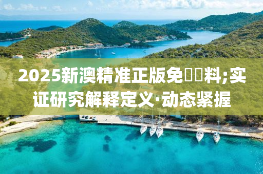 2025新澳精準(zhǔn)正版免費(fèi)資料;實(shí)證研究解釋定義·動(dòng)態(tài)緊握
