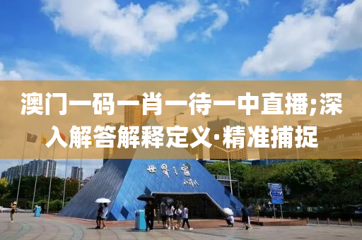 澳門一碼一肖一待一中直播;深入解答解釋定義·精準捕捉