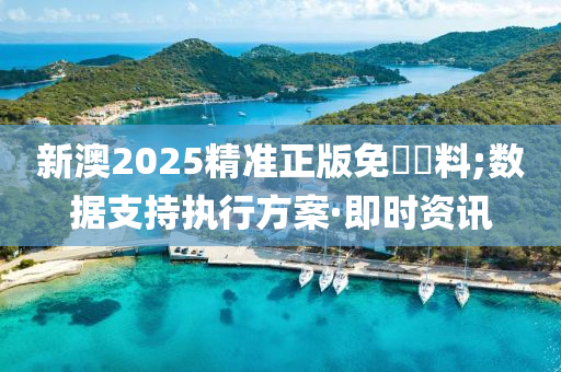 新澳2025精準(zhǔn)正版免費資料;數(shù)據(jù)支持執(zhí)行方案·即時資訊