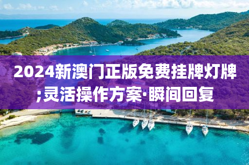 2024新澳門(mén)正版免費(fèi)掛牌燈牌;靈活操作方案·瞬間回復(fù)