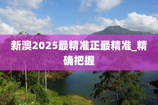 新澳2025最精準正最精準_精確把握