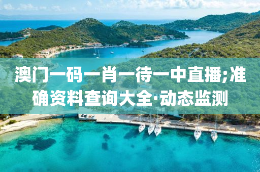 澳門一碼一肖一待一中直播;準確資料查詢大全·動態(tài)監(jiān)測