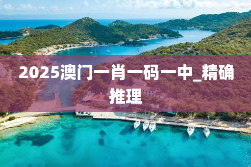 2025澳門一肖一碼一中_精確推理