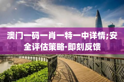 澳門一碼一肖一特一中詳情;安全評(píng)估策略·即刻反饋