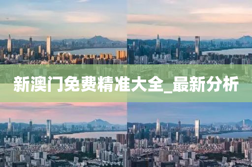 新澳門免費(fèi)精準(zhǔn)大全_最新分析
