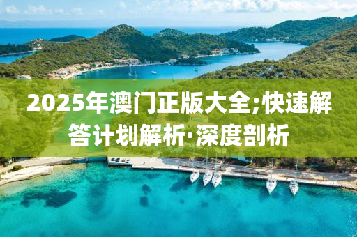 2025年澳門正版大全;快速解答計(jì)劃解析·深度剖析