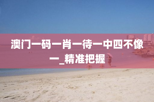 澳門一碼一肖一待一中四不像一_精準把握