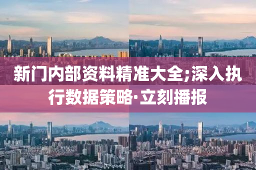 新門內(nèi)部資料精準(zhǔn)大全;深入執(zhí)行數(shù)據(jù)策略·立刻播報