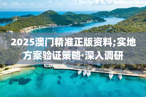 2025澳門精準正版資料;實地方案驗證策略·深入調(diào)研