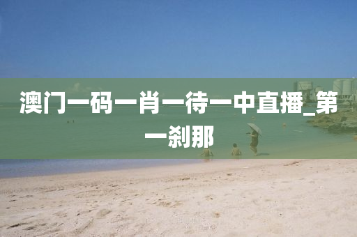 澳門一碼一肖一待一中直播_第一剎那