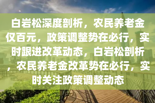 白巖松深度剖析，農(nóng)民養(yǎng)老金僅百元，政策調(diào)整勢在必行，實時跟進(jìn)改革動態(tài)，白巖松剖析，農(nóng)民養(yǎng)老金改革勢在必行，實時關(guān)注政策調(diào)整動態(tài)