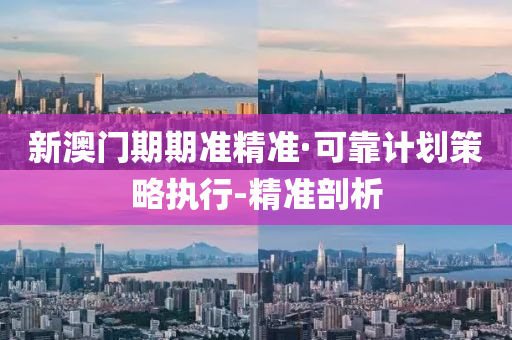 新澳門(mén)期期準(zhǔn)精準(zhǔn)·可靠計(jì)劃策略執(zhí)行-精準(zhǔn)剖析