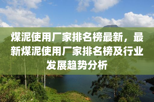 煤泥使用廠家排名榜最新，最新煤泥使用廠家排名榜及行業(yè)發(fā)展趨勢(shì)分析