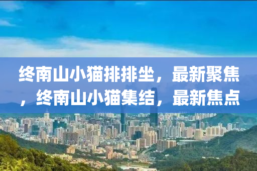 終南山小貓排排坐，最新聚焦，終南山小貓集結(jié)，最新焦點(diǎn)