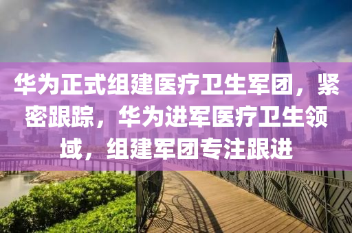 華為正式組建醫(yī)療衛(wèi)生軍團，緊密跟蹤，華為進軍醫(yī)療衛(wèi)生領域，組建軍團專注跟進
