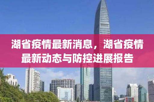 湖省疫情最新消息，湖省疫情最新動態(tài)與防控進展報告