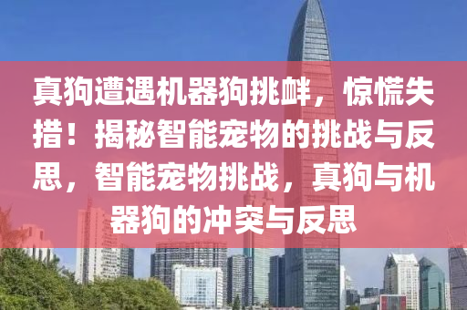 真狗遭遇機器狗挑釁，驚慌失措！揭秘智能寵物的挑戰(zhàn)與反思，智能寵物挑戰(zhàn)，真狗與機器狗的沖突與反思