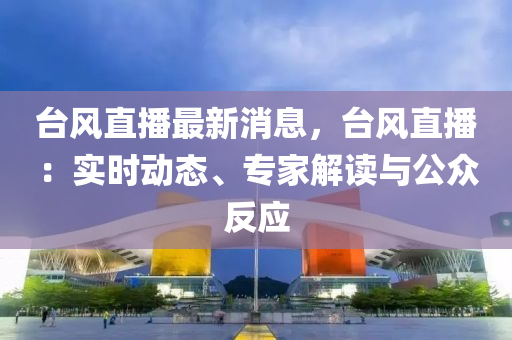臺風(fēng)直播最新消息，臺風(fēng)直播：實(shí)時動態(tài)、專家解讀與公眾反應(yīng)