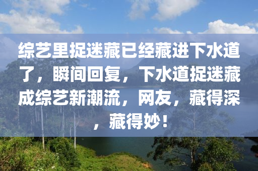 綜藝?yán)镒矫圆匾呀?jīng)藏進(jìn)下水道了，瞬間回復(fù)，下水道捉迷藏成綜藝新潮流，網(wǎng)友，藏得深，藏得妙！