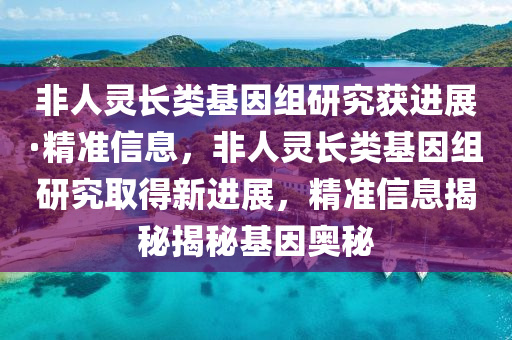 非人靈長類基因組研究獲進(jìn)展·精準(zhǔn)信息，非人靈長類基因組研究取得新進(jìn)展，精準(zhǔn)信息揭秘揭秘基因奧秘