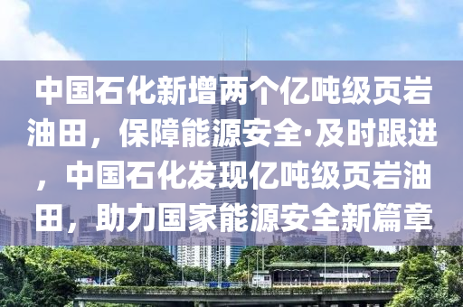 中國石化新增兩個(gè)億噸級(jí)頁巖油田，保障能源安全·及時(shí)跟進(jìn)，中國石化發(fā)現(xiàn)億噸級(jí)頁巖油田，助力國家能源安全新篇章