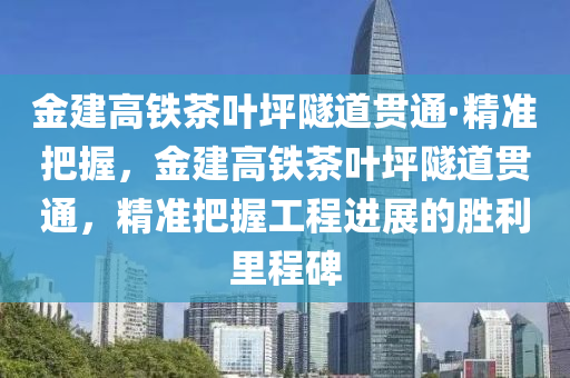 金建高鐵茶葉坪隧道貫通·精準把握，金建高鐵茶葉坪隧道貫通，精準把握工程進展的勝利里程碑