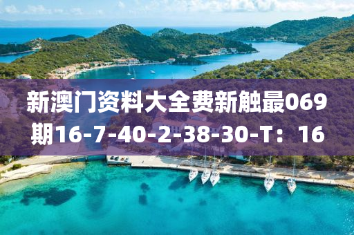 新澳門資料大全費新觸最069期16-7-40-2-38-30-T：16