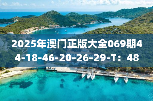 2025年澳門正版大全069期44-18-46-20-26-29-T：48
