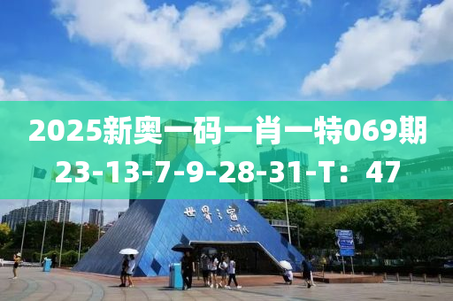 2025新奧一碼一肖一特069期23-13-7-9-28-31-T：47