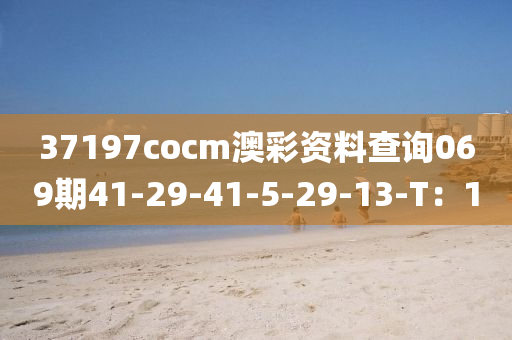 37197cocm澳彩資料查詢069期41-29-41-5-29-13-T：1